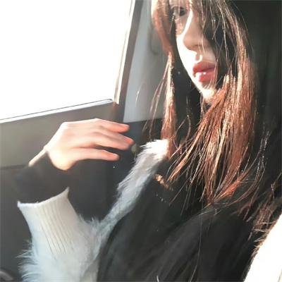 黄猫