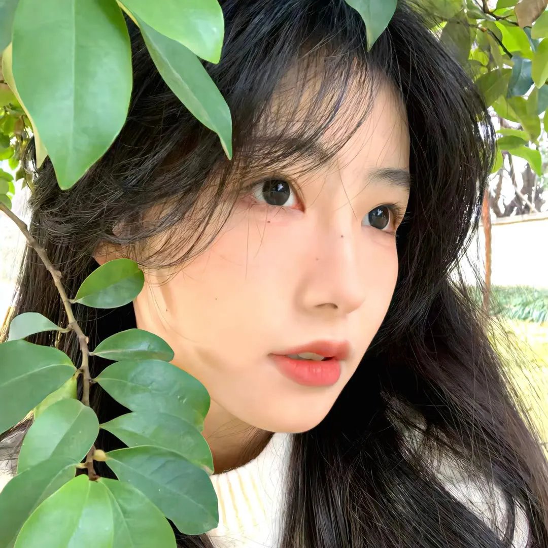 新蔷薇少女